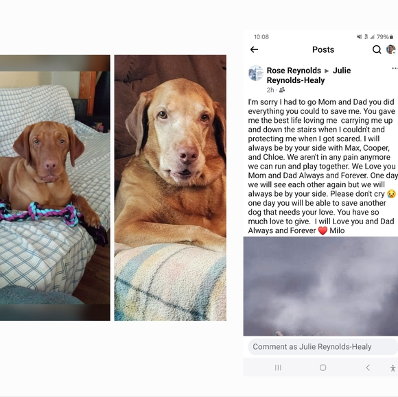 Meet your Posher, Julie H. - Picture 4 of 7